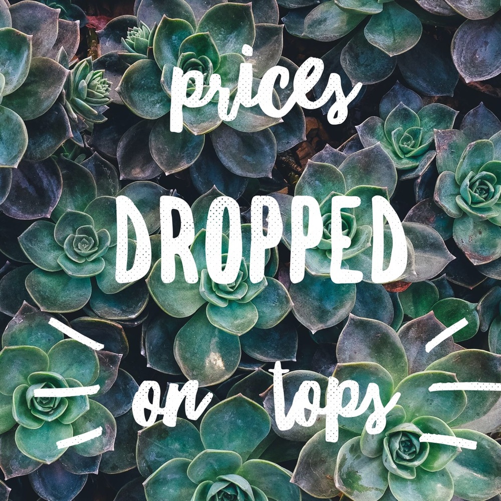 Price Drop ⤵️